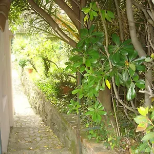 Casa vacanze Sunflower Cosy - Il Girasole, Monterosso al Mare